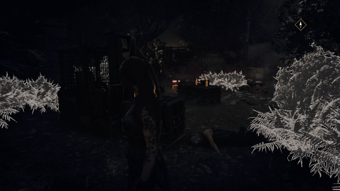 Shadow of the Tomb Raider - Survival